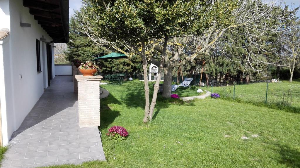 Il Piccolo Rifugio - L'Angoletto Palidoro Rum bild